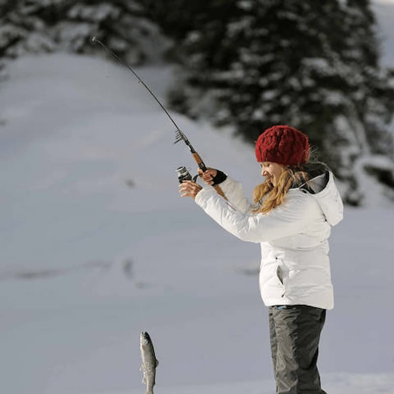 Best ice fishing game online in Germany