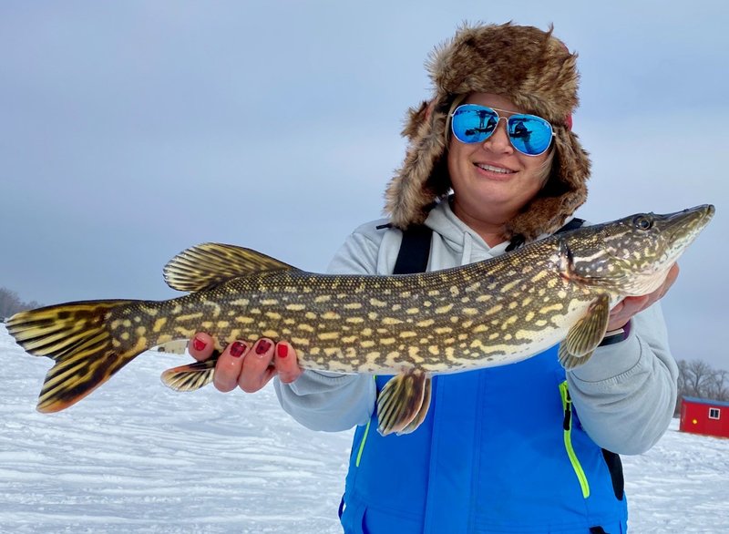 Experience the Thrills of Ice Fishing at UK's Top Live Casino Sites - overview